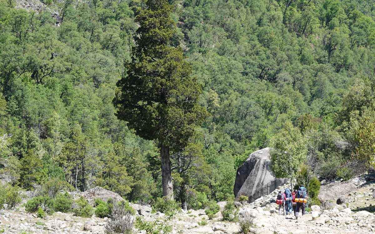 backpacking achibueno08
