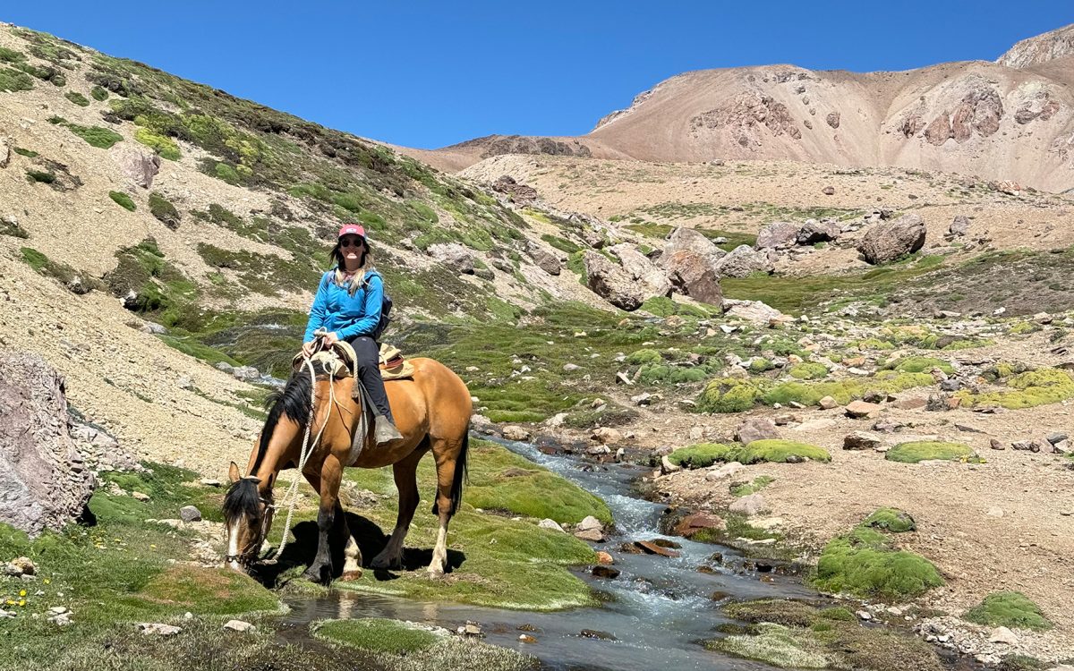 cabalgata02