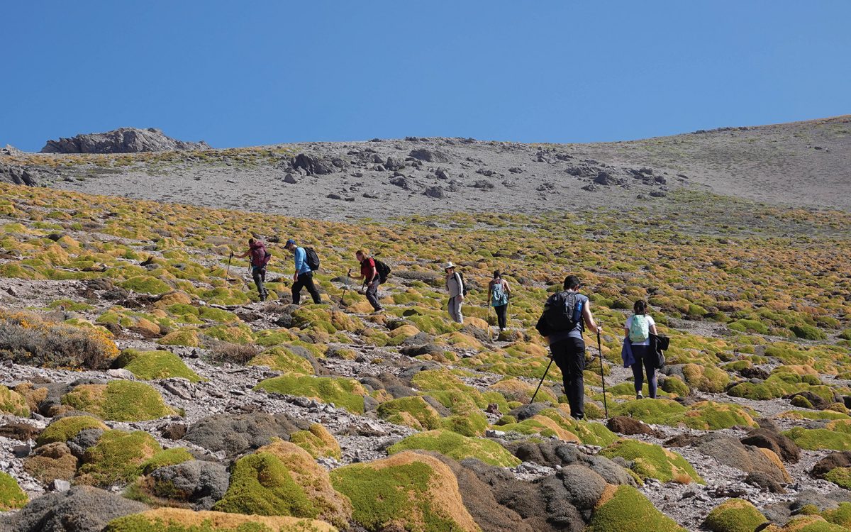 trekking cortadera01
