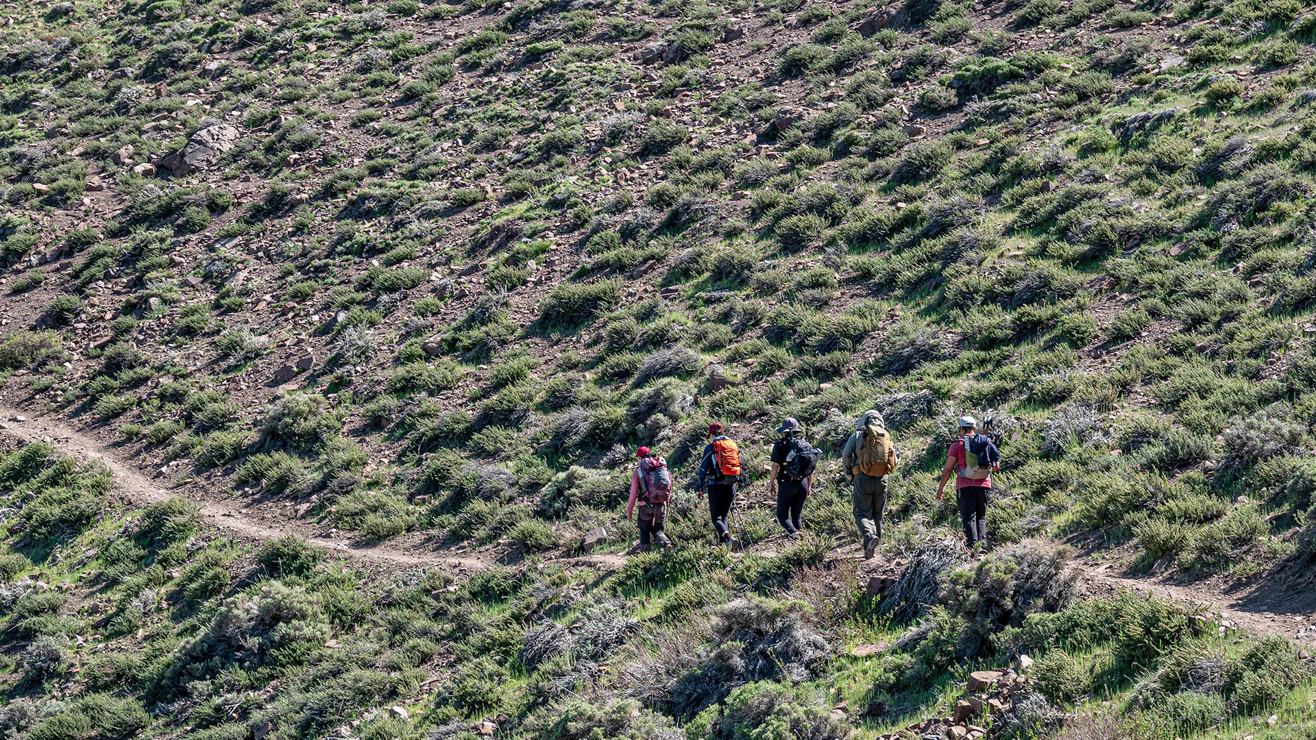 trekking laguna copin06